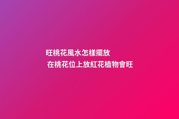 旺桃花風水怎樣擺放     在桃花位上放紅花植物會旺